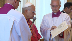 Leone XIV: Carlo Acutis santo il 7 settembre