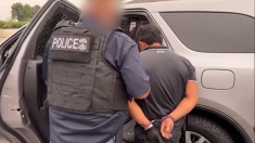 II video degli arresti e delle operazioni di polizia in California