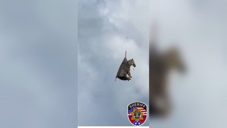Foto: Reuters/Rutherford County Sheriff's Office