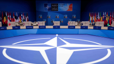 Terzi: bisogna lavorare al pilastro europeo della Nato