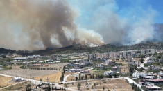 Incendi boschivi minacciano le abitazioni a Hatay, nel sud della Turchia: residenti evacuati