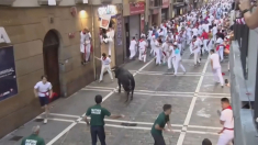 Un uomo incornato e sette feriti durante la corsa dei tori di San Fermìn a Pamplona