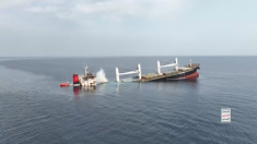Gli Houthi affondano la seconda nave cargo in una settimana