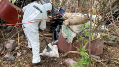 La marina messicana distrugge un megalaboratorio di droga a Culiacán