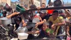 Decine di persone morte in incidente durante la distribuzione di cibo a Gaza