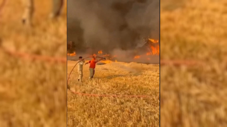 Vigili del fuoco cercano di domare colossale incendio in Turchia