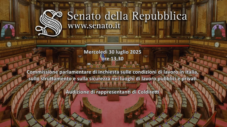 Video: Senato WebTv