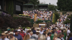 Highlight degli ultimi giorni di Wimbledon