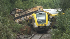 Treno deraglia a causa di una frana in Germania