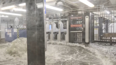 Metropolitana di New York allagata