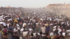 Arrivano gli aiuti umanitari nel nord di Gaza