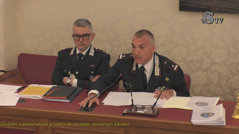Foto: Senato Italiano