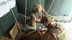 Ministero della Difesa: neutralizzata bomba della Seconda guerra mondiale a Villanova d’Albenga