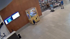 Il bimbo rimane intrappolato nella macchina ‘acchiappa-peluches’