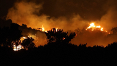 Incendi in Grecia Evacuazioni a Creta e colonne di fumo a Halkidiki