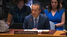 Onu: Israele ha violato la sovranità siriana