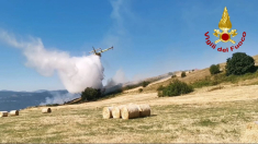 Incendio boschivo ad Agnone, iniziate opere di bonifica