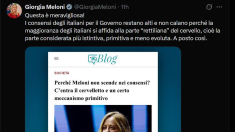 Meloni ironizza su X: consensi alti grazie al cervello rettiliano degli italiani