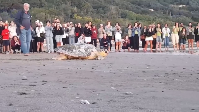 Video: Comune di Pesaro via Facebook