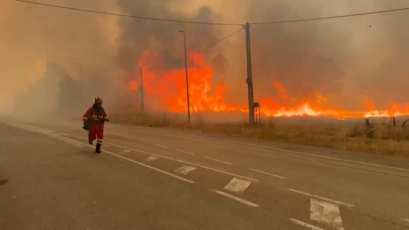 Screenshot da video 