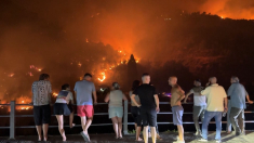 Gli incendi assediano Delvina in Albania, evacuazioni in corso