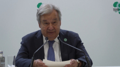 Appello urgente del segretario Onu: cessate il fuoco a Gaza