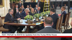 Trump elogia Meloni: una grande leader, è lì da tanto ormai. Gli altri da voi non durano molto no?