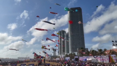 In migliaia nella capitale dello Sri Lanka per assistere al festival internazionale degli aquiloni
