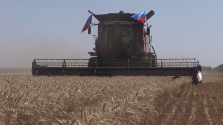 La Russia aumenta le esportazioni di cereali con il grano ucraino