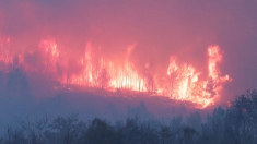 Pauroso incendio devasta il sud della Francia