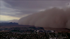 Haboob, la tempesta di polvere apocalittica si abbatte sull’Arizona