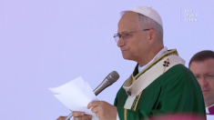 Leone XIV: siamo con i giovani di Gaza e Ucraina