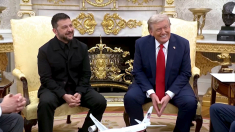 Il reporter fa i complimenti a Zelensky: “Sta bene in abito”. Risate nello studio ovale