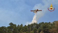 80 Vigili del Fuoco e 4 Canadair impegnati nell’incendio del Parco Nazionale del Vesuvio