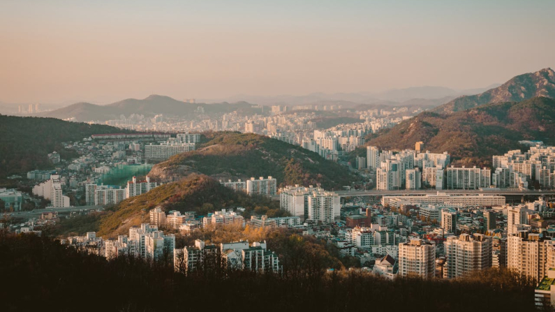 Immagine di Marius Mann via Pexels