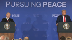 Putin: con Trump come presidente non ci sarebbe stata la guerra in Ucraina