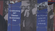 I tibetani in esilio festeggiano il 65esimo anniversario della democrazia