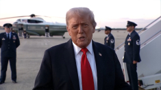 Trump: mi è piaciuta la finale degli Us Open Tifosi fantastici
