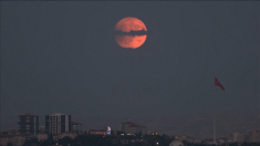 La “luna rossa” brilla in tutto il mondo