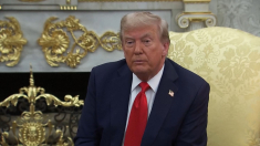 Trump avverte: se perdiamo il caso sui dazi gli Usa soffriranno enormemente