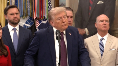 Trump: ho appreso cose molto interessanti sulla guerra tra Russia e Ucraina