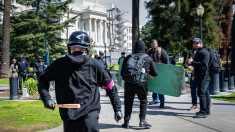 Donald Trump dichiara Antifa organizzazione terroristica