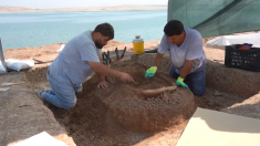 Scoperte tombe ellenistiche in Iraq