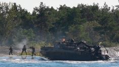 Forze svedesi e americane si addestrano sul Baltico