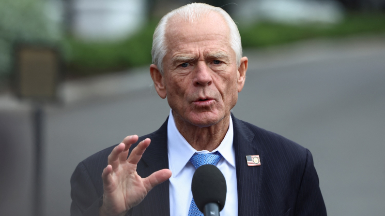 Peter Navarro
(foto d'archivio,  REUTERS/Evelyn Hockstein).