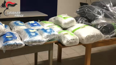 Smantellata rete internazionale di trafficanti di droga 12 gli arresti