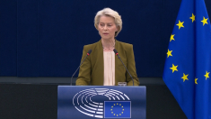 Attacco frontale della von der Leyen a Israele, Gideon Saar: parole deplorevoli