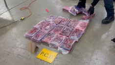 Blitz in Costa Rica: sequestrate 3 tonnellate di cocaina nascoste in frutta diretta in Germania