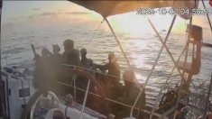 La marina israeliana intercetta la nave All In della Flotilla