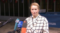 Kaja Kallas: la visita di Putin in Ungheria non è piacevole